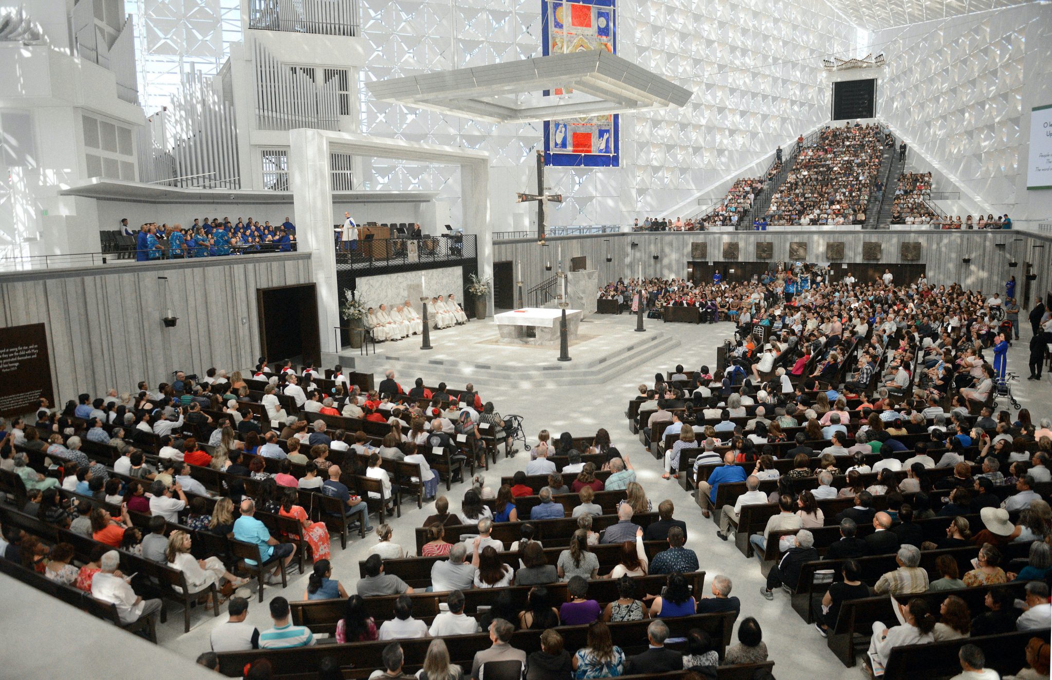 cathedral of christ the king lexington kentucky mass times